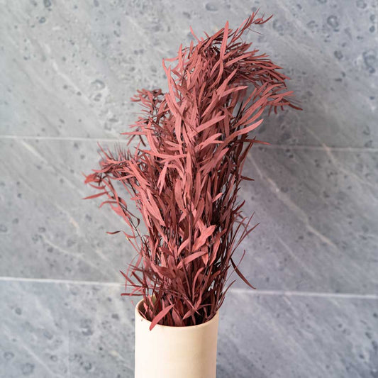 Botte d'eucalyptus nicoli rouge stabilisé, vue de face - Flowrette