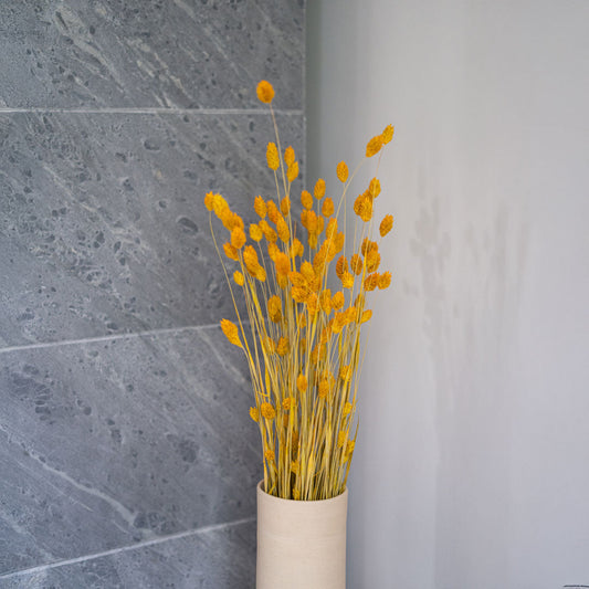 Botte Phalaris Jaune