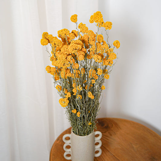 Botte Sanfordii Jaune - Flowrette