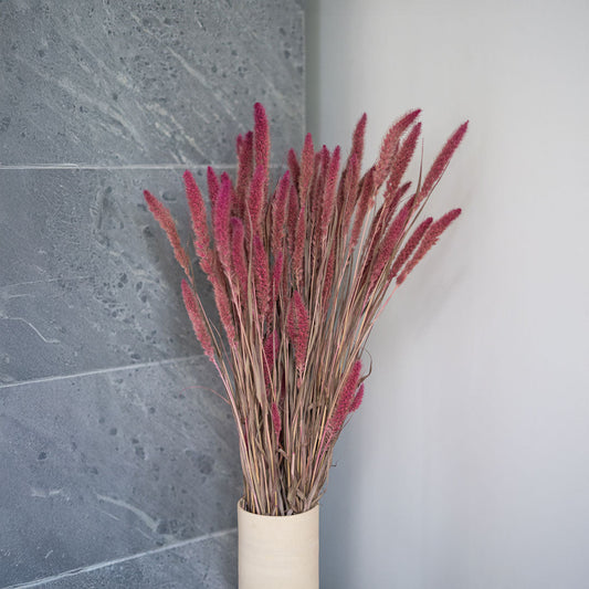 Botte Sétaire Rose