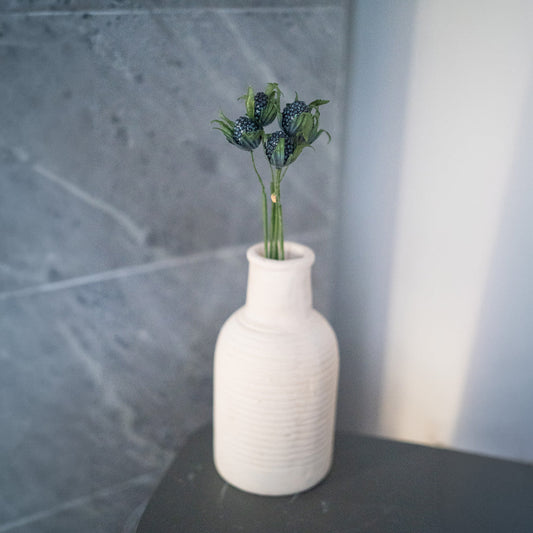 Chardon en papier bleu