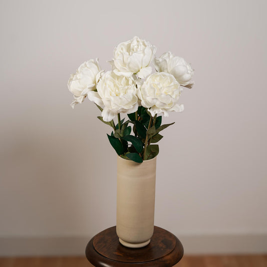 Pivoine blanche