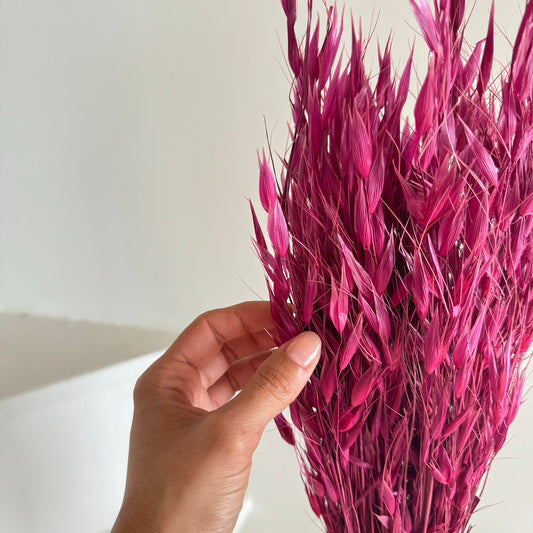 Botte fleurs séchées Avoine Bordeaux (Copy)