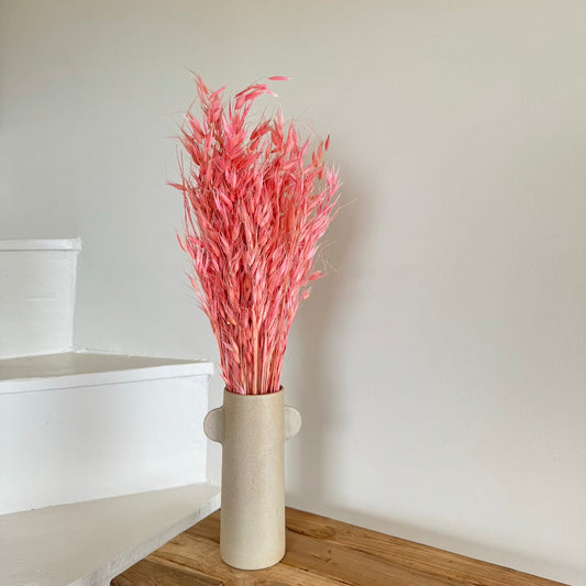 Botte fleurs séchées Avoine Vieux rose