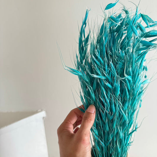 Botte d'avoine séchée turquoise, vue de face - Flowrette