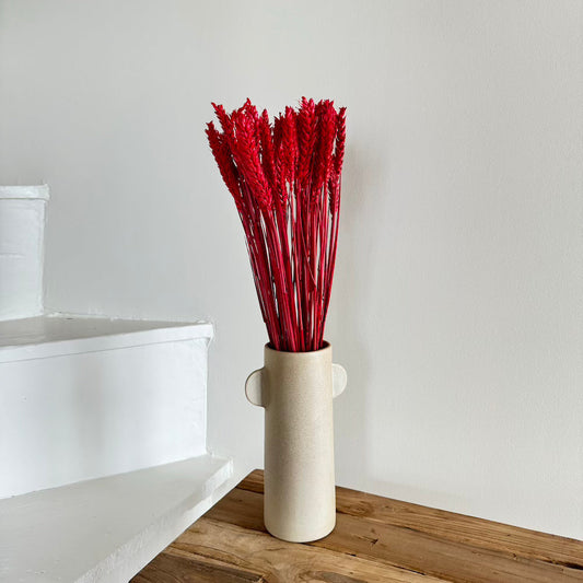 Botte fleurs séchées Blé Rouge