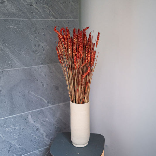 Flowrette Botte fleurs séchées Blé Rouge