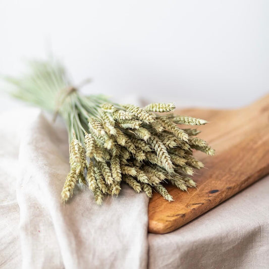 Botte fleurs séchées Blé vert