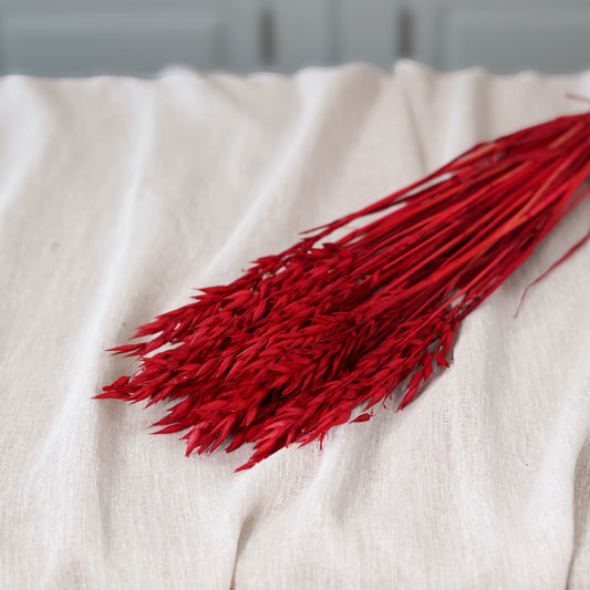 Botte d'avoine rouge intense séchée Flowrette en gros plan
