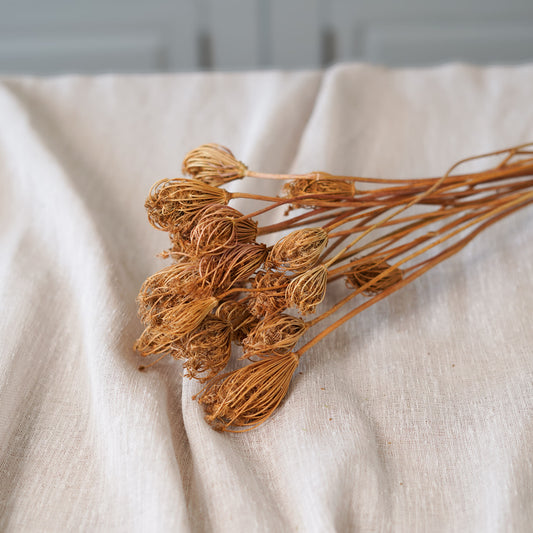 Botte de fenouil naturel séché Flowrette en gros plan