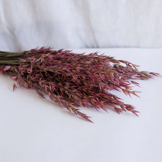 Botte Avoine rose foncé