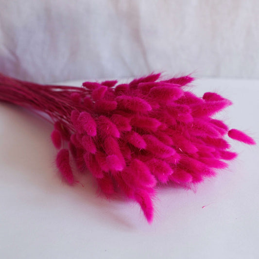 Botte Lagurus Fuchsia