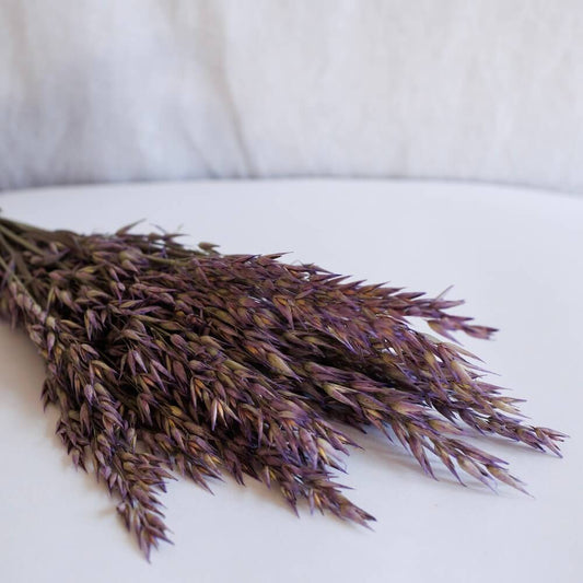 Botte Avoine Violet