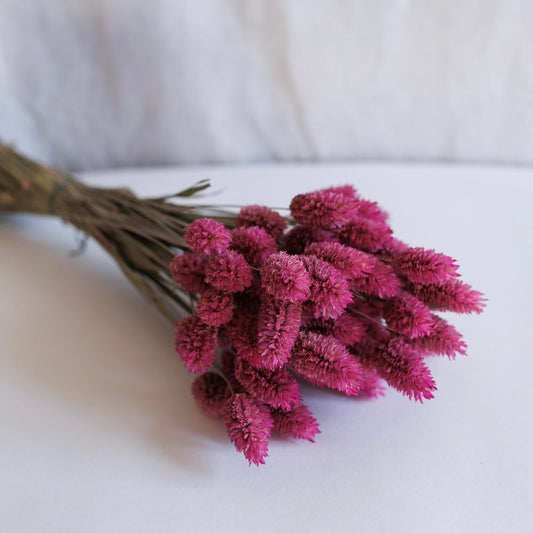 Dark pink Phalaris boot