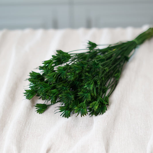Botte de nigelle orientalis verte séchée Flowrette en gros plan