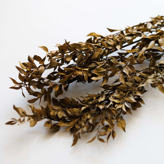 Botte fleurs stabilisées Ruscus Vert olive, vue de face - Flowrette