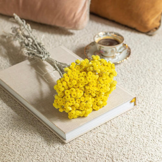 Botte immortelle jaune fleurs séchées, vue d'ensemble bouquet vif - Flowrette