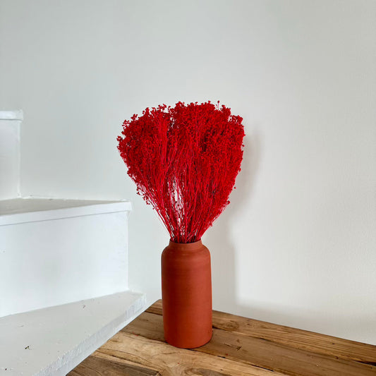 Botte Broom bloom rouge