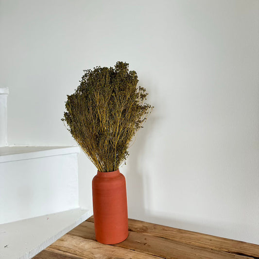 Botte fleurs séchées Broom bloom Vert olive