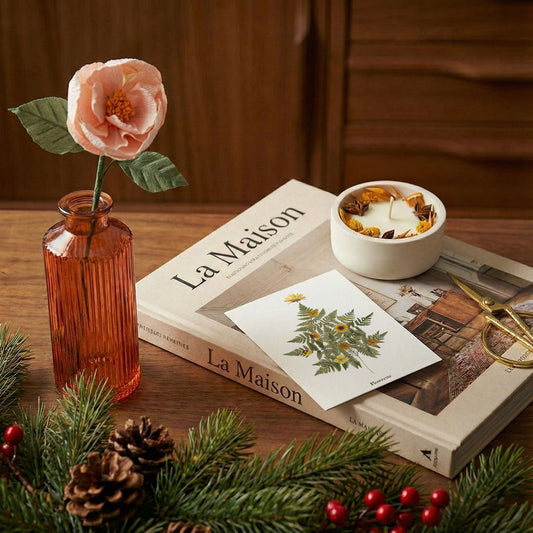 Coffret Noël vitaminé