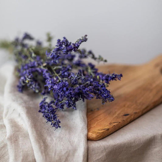 delphinium-bleu-botte-fleurs-sechees