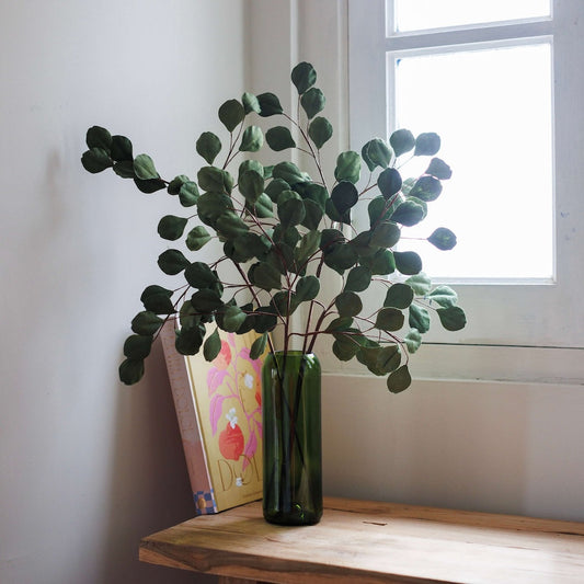 eucalyptus-en-papier-vert