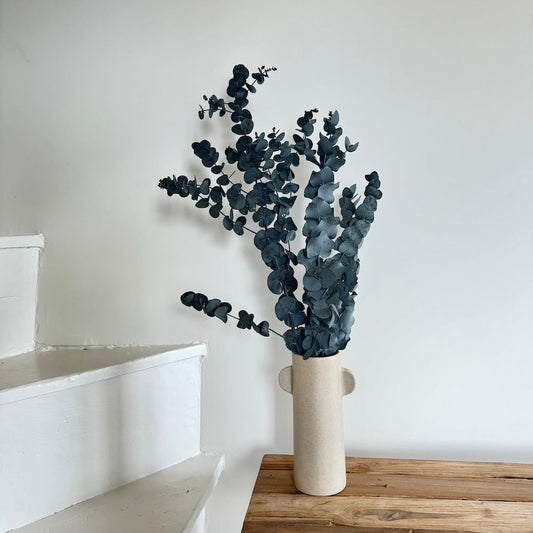 Botte d'eucalyptus cinerea vert stabilisé, vue principale - Flowrette