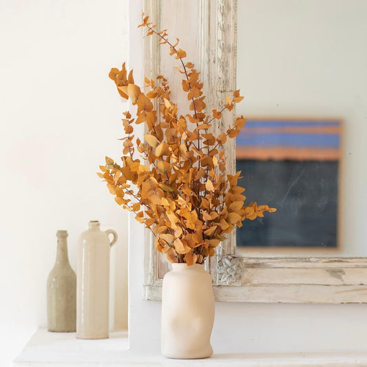 Botte fleurs stabilisées eucalyptus stuartiana jaune stabilisé