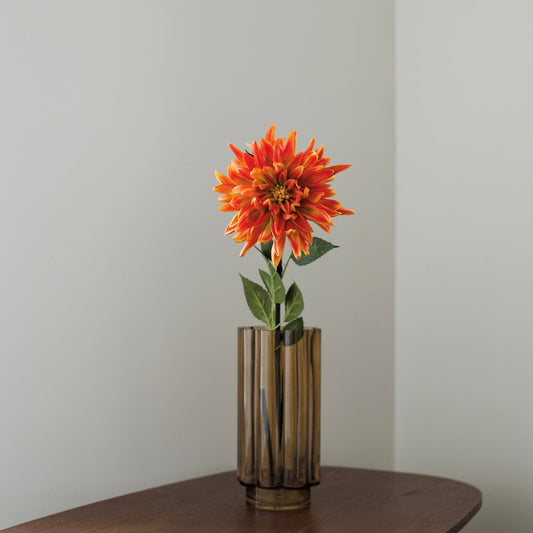 Dahlia orange