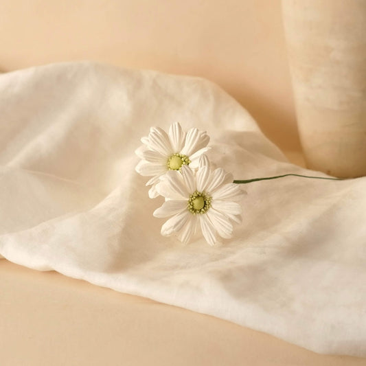 Marguerites en papier blanc