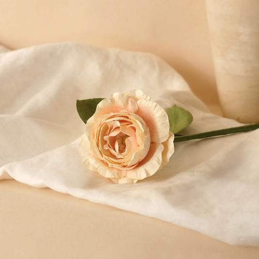 Peach paper camellia