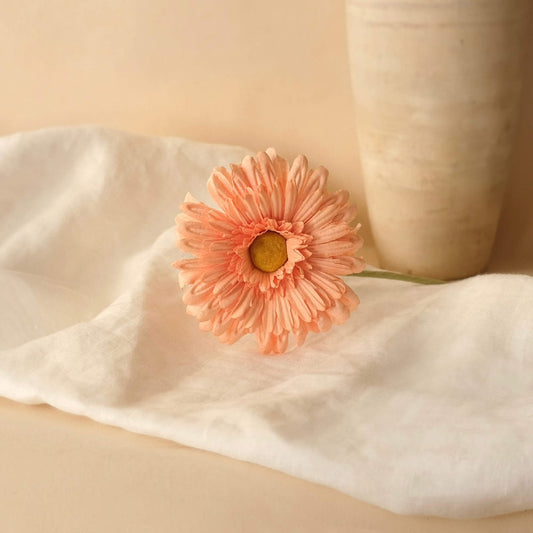 Apricot paper gerbera