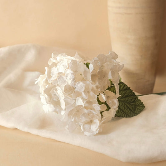 White Paper Hydrangea