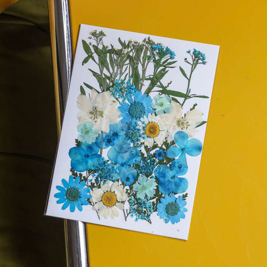 flowrette-fleurs-pressee-bleu