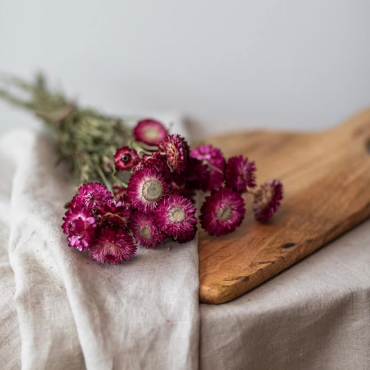 botte-fleurs-sechees-immortelle-rose-flowrette