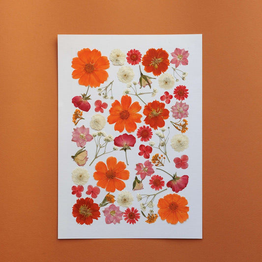 Herbier Matin d'Été A4, cadre fleurs pressées orange et dorées - Flowrette
