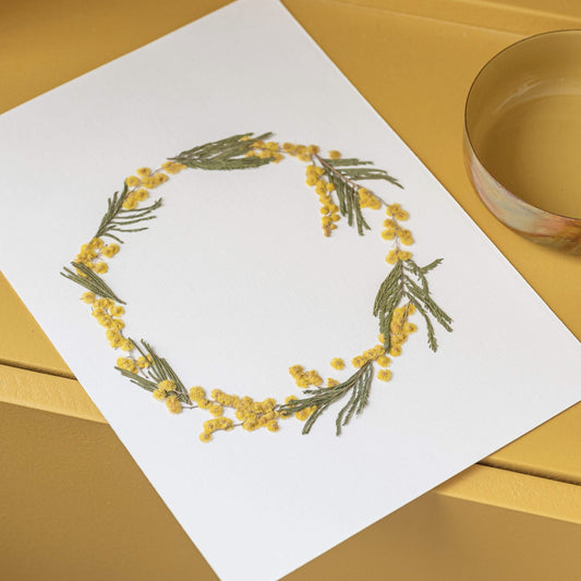 herbier-fleurs-sechee-flowrette-mimos