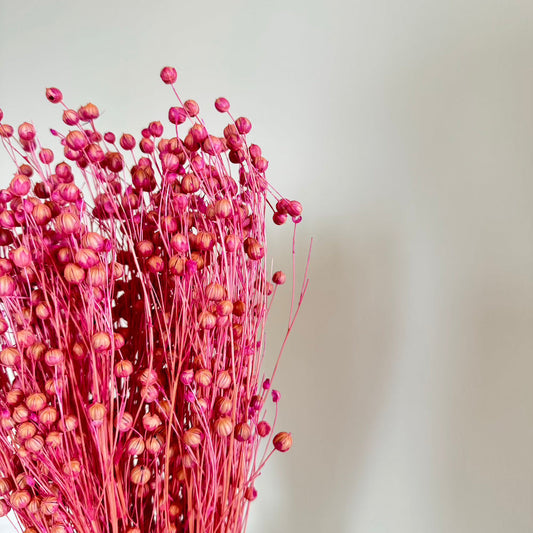 Botte de lin séché lilas, vue de face - Flowrette