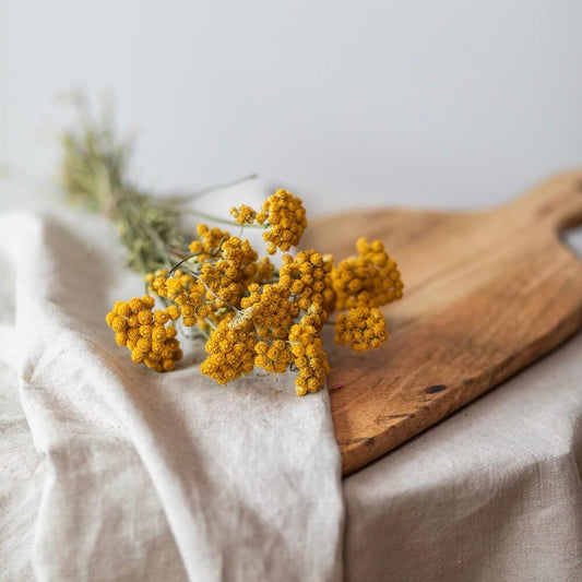 Botte Lona jaune en fleurs séchées, vue d'ensemble - Flowrette