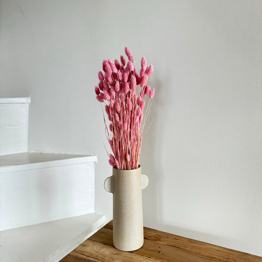 Botte fleurs séchées Phalaris Lilas