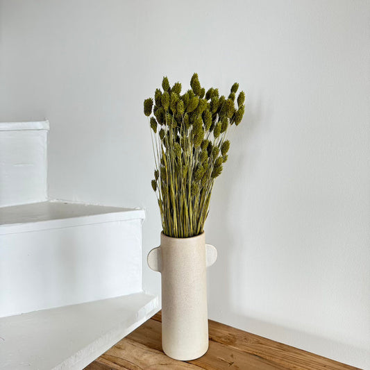 Botte de phalaris séché vert olive, vue de face - Flowrette